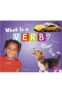 What Is a Verb?