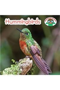 Hummingbirds