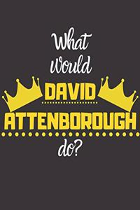 What would DAVID ATTENBOROUGH do?
