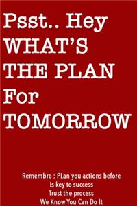 Psst... Hey What is the Plan For Tomorrow / RedNotebook Version