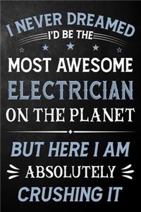 I Never Dreamed I'd Be The Most Awesome Electrician On The Planet But Here I Am Absolutely Crushing It