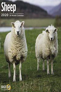 SHEEP WALL CALENDAR 2020