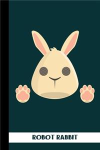 Robot Rabbit