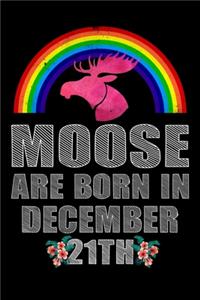 Moose Are Born In December 21th