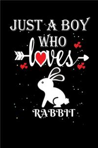 Just a Boy Who Loves Rabbit