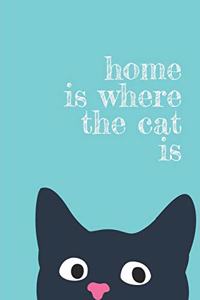 home is where the cat is