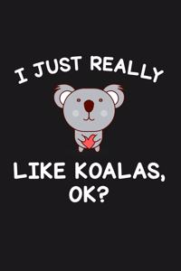 I Just Really Like Koalas Ok