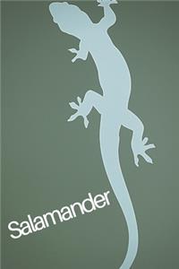 Salamander