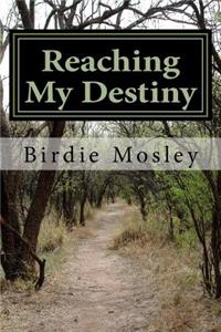 Reaching My Destiny