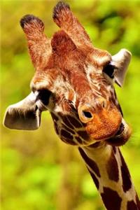 Giraffe Notebook - Journal Gift for Cute Animal Lovers