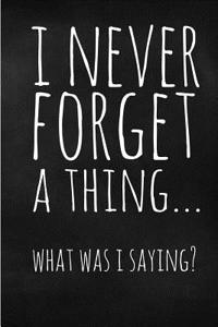 I Never Forget a Thing...What Was I Saying?