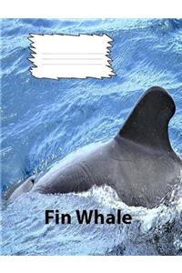 Fin Whale College Ruled Line Paper Composition Book