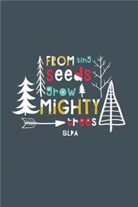 From Tiny Seeds Grow Mighty Slpa