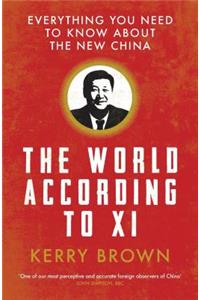 World According to XI