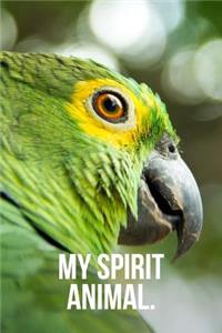 My Spirit Animal