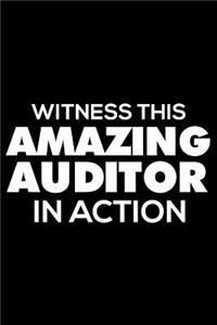 Witness This Amazing Auditor in Action