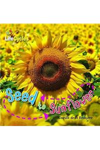 Lifecycles: Seed to Sunflower