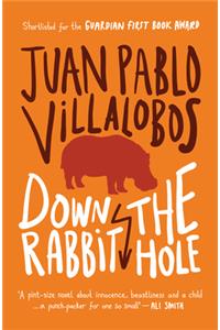 Down the Rabbit Hole