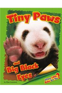 Tiny Paws and Big Black Eyes (Giant Panda)