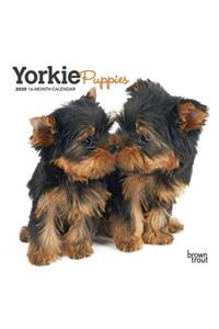 YORKSHIRE TERRIER PUPPIES 2020 MINI WALL