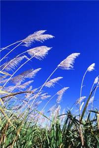 Sugarcane Field in Florida Journal: Take Notes, Write Down Memories in this 150 Page Lined Journal