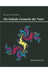 Die Fraktale Geometrie Der Natur