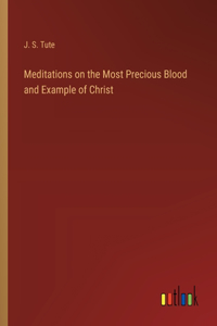 Meditations on the Most Precious Blood and Example of Christ