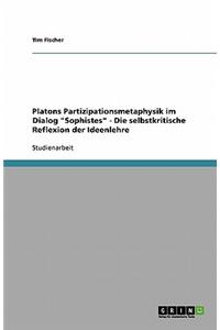 Platons Partizipationsmetaphysik im Dialog Sophistes - Die selbstkritische Reflexion der Ideenlehre