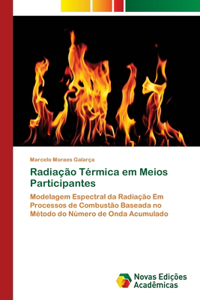 Radiação Térmica em Meios Participantes