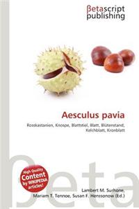 Aesculus Pavia