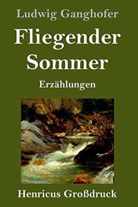 Fliegender Sommer (Großdruck)