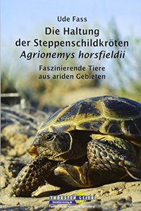 Die Haltung der Steppenschildkroten Agrionemys horsfieldii: Faszinierende Tiere aus ariden Gebieten