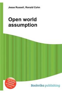 Open World Assumption