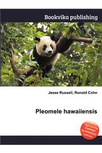 Pleomele Hawaiiensis