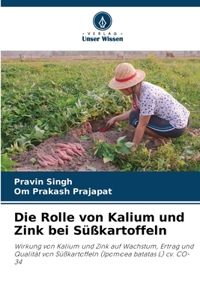 Rolle von Kalium und Zink bei Süßkartoffeln