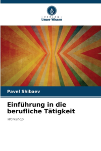 Einführung in die berufliche Tätigkeit