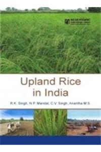 Upland Rice In India