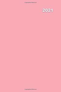 2021 Planner Pink Delight