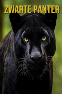 Zwarte Panter