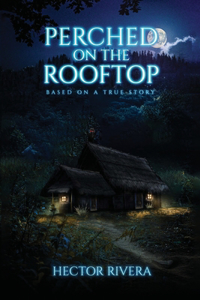 Perched On The Rooftop