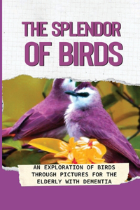 The Splendor Of Birds: An Exploration Of Birds Through Pictures For The Elderly With Dementia: Bird Photo Books For People With Alzheimer'S