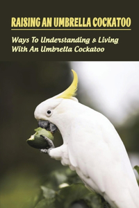 Raising An Umbrella Cockatoo