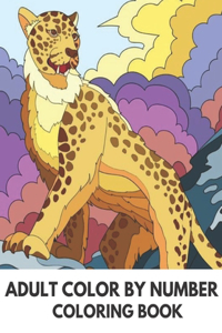 Adult Color By Number Coloring Book
