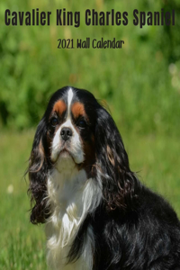 Cavalier King Charles Spaniel 2021 Wall Calendar