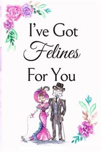 I've Got Felines For You