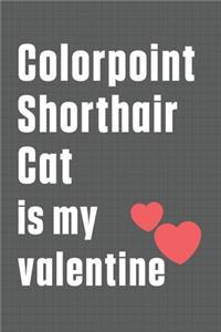 Colorpoint Shorthair Cat is my valentine