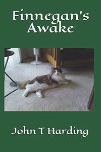 Finnegan's Awake