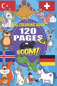 Big Coloring Book