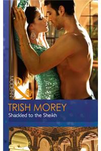 Shackled To The Sheikh