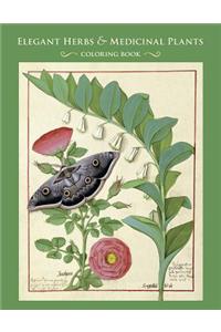 Elegant Herbs & Medicinal Plants Coloring Book